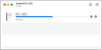 figura:Schermata di stato della stampa