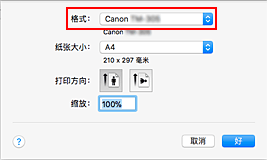 插图：“页面设置”对话框中“页面属性”的“格式”