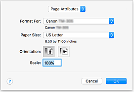 figure:Page Setup dialog