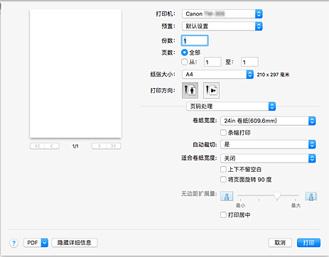 插图：打印对话框中的“页码处理”