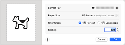 figure:Page Setup dialog