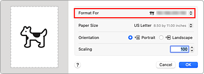 figure:Format For of Page Attributes in the Page Setup dialog