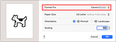 figure:Format For of Page Attributes in the Page Setup dialog