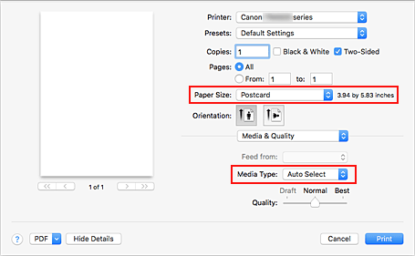 figure: Paper Size and Media Type in the Print dialog