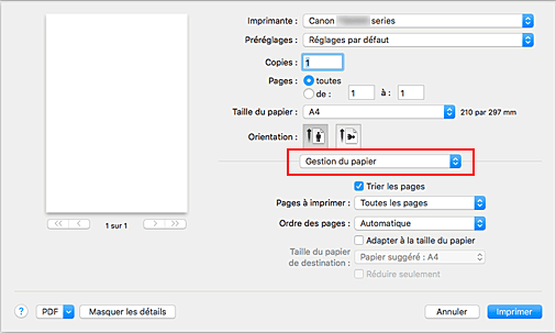 figure : Gestion du papier dans la boîte de dialogue Imprimer