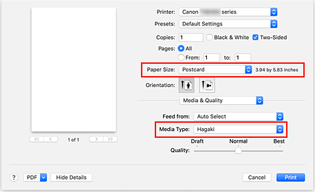 Imagen: Tamaño de página y tipo de soporte en el diálogo de impresión