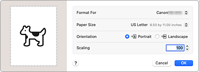 figure:Page Setup dialog
