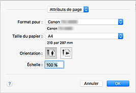 figure : Boîte de dialogue Configuration de la page