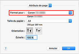 figure&nbsp;: Format pour les attributs de page de la Boîte de dialogue Configuration de la page