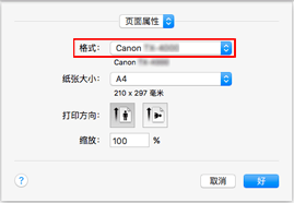 插图：&ldquo;页面设置&rdquo;对话框中&ldquo;页面属性&rdquo;的&ldquo;格式&rdquo;