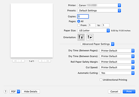 figure:Advanced Paper Settings in the Print dialog