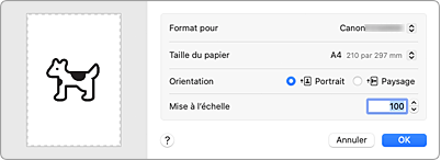 figure&nbsp;: Boîte de dialogue Configuration de la page