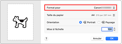 figure&nbsp;: Format pour les attributs de page de la Boîte de dialogue Configuration de la page