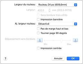figure : Traitement de la page dans la boîte de dialogue Imprimer
