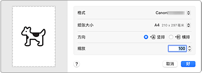 插图：页面设置对话框