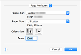 figure:Page Setup dialog