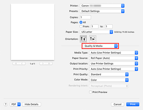 Abbildung: "Qualität und Medium" im Dialog "Drucken"