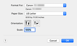 Imagen: cuadro de diálogo Ajustar página