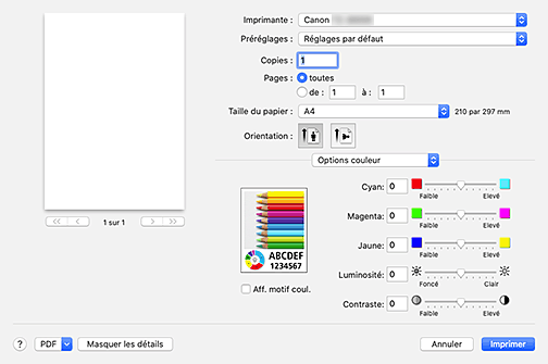 figure&nbsp;:&nbsp;Options couleur dans la boîte de dialogue Imprimer