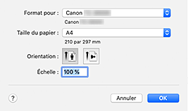 figure : Boîte de dialogue Configuration de la page
