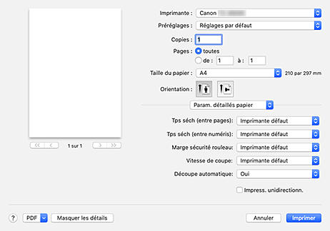 figure : Paramètres avancés du papier dans la boîte de dialogue Imprimer