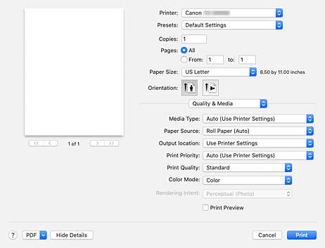рисунок: раздел "Качество и носители" в диалоговом окне "Печать"