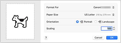 figure:Page Setup dialog