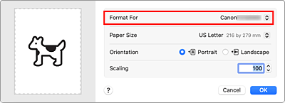 figure:Format For of Page Attributes in the Page Setup dialog