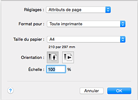 figure : Boîte de dialogue Configuration de la page