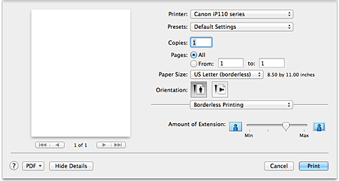 figure:Borderless Printing in the Print dialog