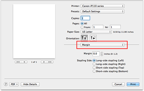 figure:Margin in the Print dialog