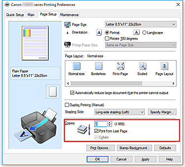 figure:Copies on the Page Setup tab