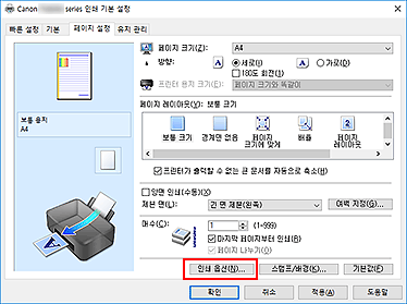 그림: [페이지 설정] 탭의 [인쇄 옵션...]