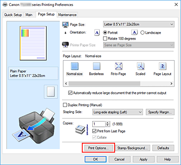 figure:Print Options... on the Page Setup tab