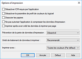 figure&nbsp;: Boîte de dialogue Options d'impression