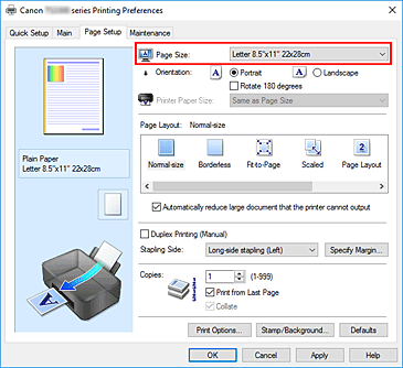 figura:Page Size din fila Page Setup