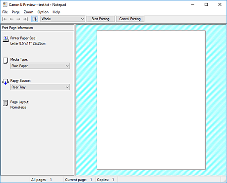 Imagen: Vista preliminar de Canon IJ