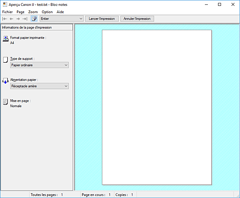 figure&nbsp;: Aperçu Canon IJ