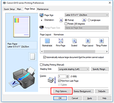 фигура: &bdquo;Print Options...&rdquo; в раздела &bdquo;Page Setup&rdquo;