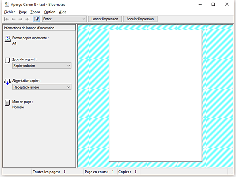 figure&nbsp;: Aperçu Canon IJ