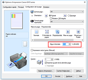 figure&nbsp;: Mise à l'échelle dans l'onglet Configuration de la page