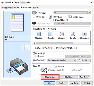 hình: Tùy chọn in... trên tab Thiết lập trang