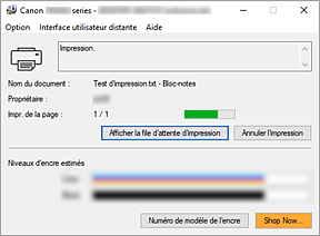 figure : Écran d'état d'imprimante Canon IJ