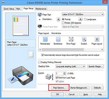 фигура: „Print Options...” в раздела „Page Setup”