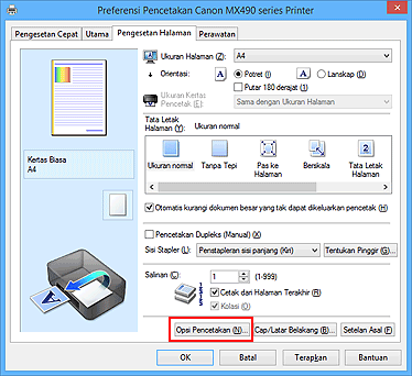 gambar: Opsi Pencetakan... pada tab Pengesetan Halaman
