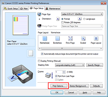 figure:Print Options... on the Page Setup tab