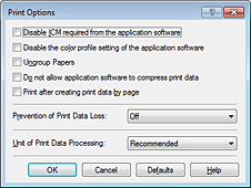 figure:Print Options dialog box