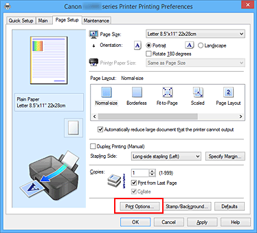 figure : Options d'impression... dans l'onglet Configuration de la page