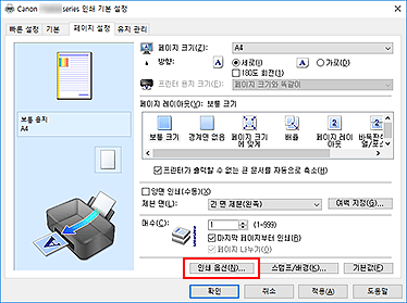 그림: [페이지 설정] 탭의 [인쇄 옵션...]