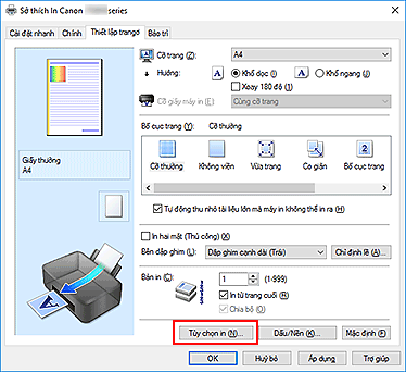 hình: Tùy chọn in... trên tab Thiết lập trang